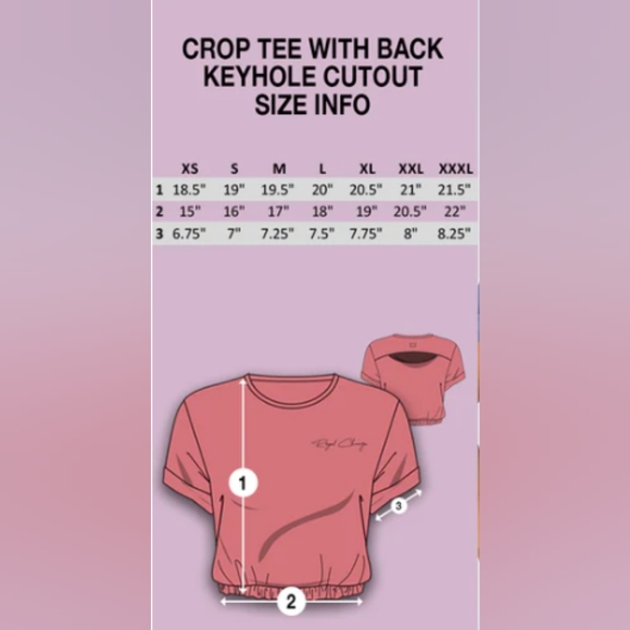 Royal Change Crop Tee with Back Keyhole Cutout Mauve Size SMALL - Picture 6 of 10